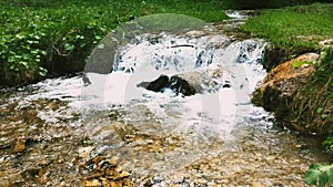 View of a mountain stream surrounded by trees. Pure cold clear water flows over the stones.