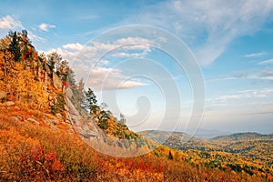 View of the mountain taiga in the autumn forest among colorful trees in the mountains in bright sunny weather in Kolyvan