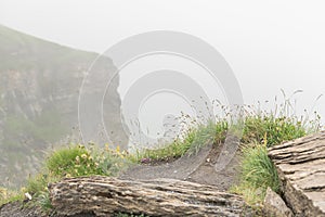 view of a mountain trail during a very misty and cloudy summer day high up in the Swiss alps. Bachsee lake trail in Grindelwald.