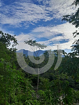 view of mountain trees and skyand calm the heart