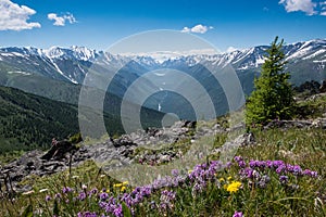 View of mountain valley in the Altai mountains in the distance is the lake kucherlinskoe