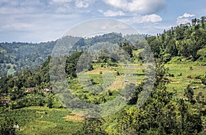 View of the mountain valley and houses among the forest and tea plantations on the island of Sri Lanka