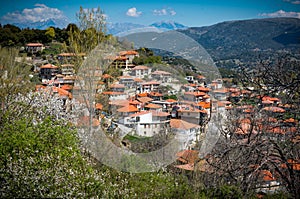 View of mountain village named Valtessiniko at Spring. Greece photo