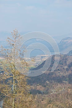 View from a mountain: between winter trees to a lake and hazy mountains English Lake District