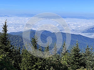 A View of the Mountains from Clingmans Dome