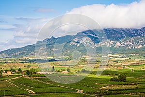 Landscape covered with white clouds photo