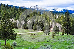 Dixie National Forest Utah