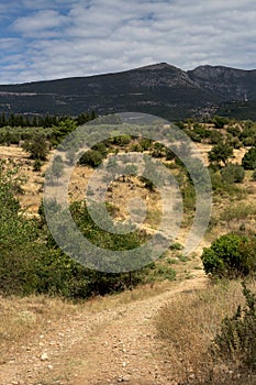 View of the mountains, fields, olive groves and road