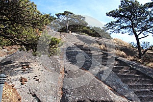 Yellow Mountain - Huangshan, China. photo