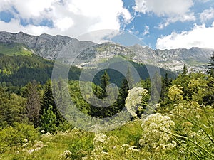 View at the mountains in France