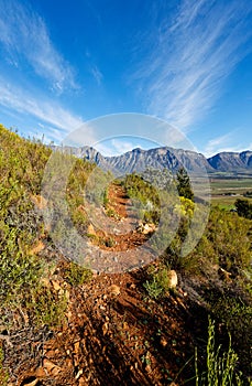 A view of mountains and fynbos in Slanghoek Valley in the Western Cape