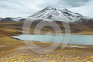 View of mountains and Miscanti lagoon in Sico Pass photo