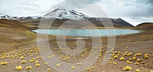 View of mountains and Miscanti lagoon in Sico Pass photo