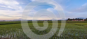 view of the mountains in the morning