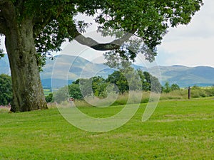 A view of the Mountains of Mourne in County Down in Northern Ireland from Castlewellan Forest Park