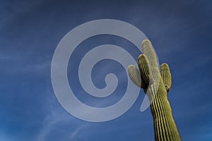 View Of The Mountains At Papago Park In Phoenix, Arizona