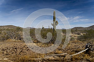 View Of The Mountains At Papago Park In Phoenix, Arizona