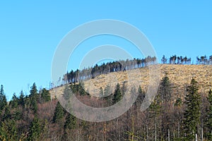 View of mountains peak.