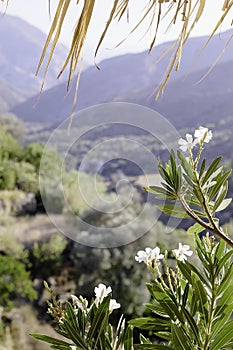 The view of the mountains and the sky from the window of the terrace