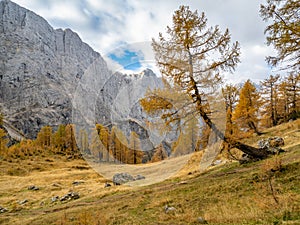 View of mountains from Slemenova spica, Eslovenia photo