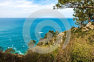 View of the coast of San Sebastian photo
