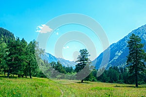 View of the mountains at the top in summer weather.