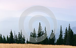 View of a mountains valley in a early morning with fog between hills. Mountains ranges layers.