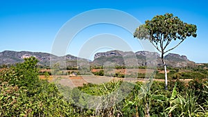 View of the mountains of the Vinales valley