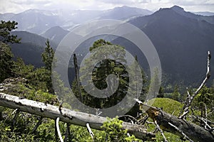 A view of the mountains visible from Demanovska hill in Liptov.