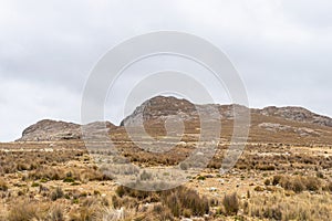 View of the mountains, yellow meadows, various vegetation and rocks, located in Shupluy, Peru.