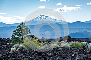 View of Mt. Bachelor from Newberry Volcano National Monument. Black lava rocks, trees and desert vegetation in foreground