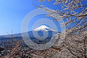 View of Mt. Fuji with cherry blossom (sakura ) in spring from Arakurayama Sengen Park