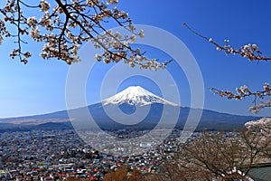 View of Mt. Fuji with cherry blossom (sakura ) in spring from Arakurayama Sengen Park