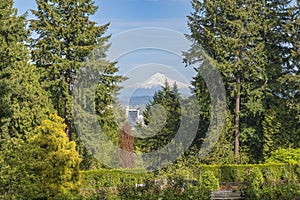 View of Mt. Hood and Portland Oregon in Washington park