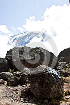 View of Mt. Kilimanjaro