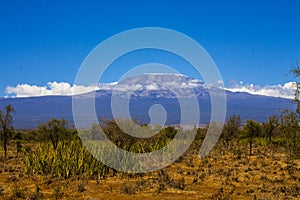 View of Mt. Kilimanjaro for background use