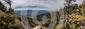 View from Mt LeConte Pano