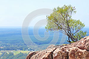 View from Mt Ngungun Sunshine Coast