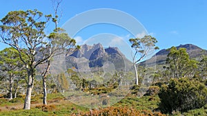 View of mt ossa, tasmania`s highest mountain, from the overland track photo