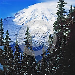 View of the Mt.Rainier, Washington