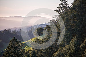 View from Mt. Tamalpais at sunset