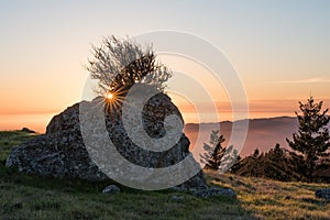 View from Mt. Tamalpais at sunset