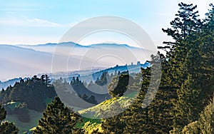 View from Mt. Tamalpais at sunset