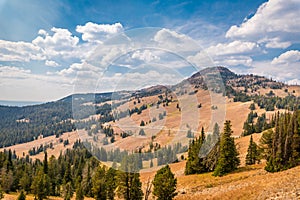 View from Mt. Washburn in Yellowstone National Park photo