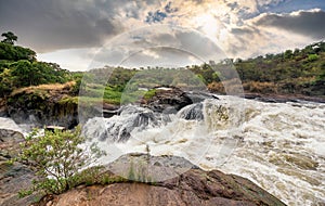 View of Murchison Falls on the Victoria Nile river National Park