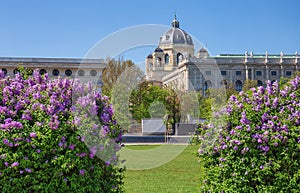 View on a museum from Heldenplatz - Vienna