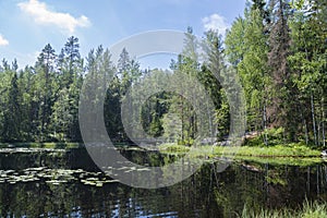 View of The Mustalampi Pond in summer, Nuuksio National Park, Espoo, Finland