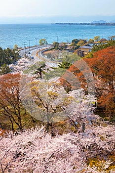 View from Nagahama Castle n Shiga, Japan