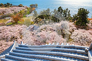 View from Nagahama Castle in Shiga, Japan