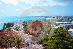 View from Nagahama Castle in Shiga, Japan